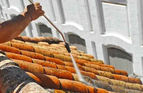 Démoussage de toiture à Saint-Mars de Coutais